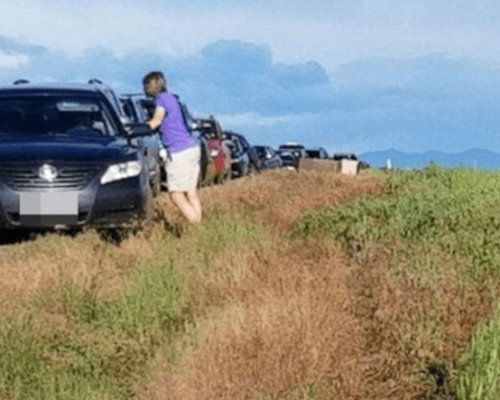 Google Haritalar, Önerdiği Yol Sonucu Yüzlerce Arabayı Bataklığa Sürükledi