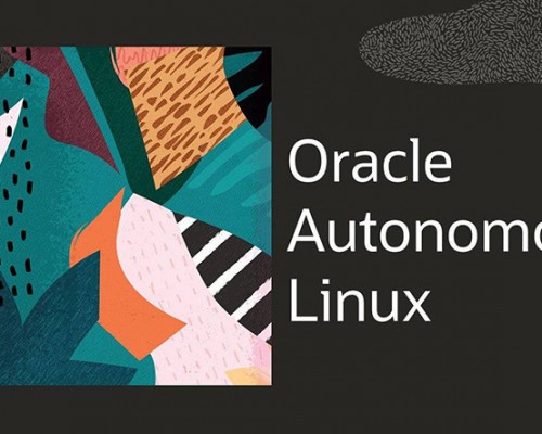 Dünyanın İlk Otonom İşletim Sistemi Oracle Autonomous Linux Tanıtıldı