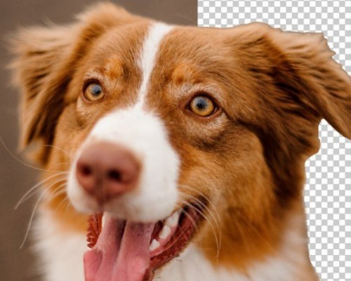 Arka Planı Saydam Görseller İçin Kullanılan  PNG Formatı  Nedir, Ne İşe Yarar, Nasıl Yapılır?