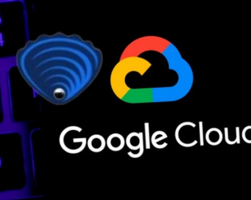 Google Cloud, Dev Bir Firmanın Bütün Verilerini Yanlışlıkla Sildi