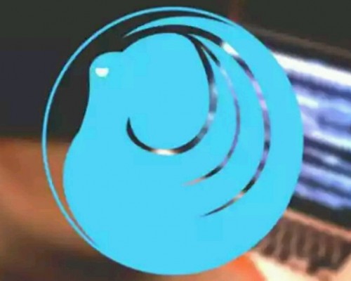 Yerli Siber Güvenlik Sistemi Olan Ahtapot Yazılımı, Bütün Testlerden Başarıyla Geçti