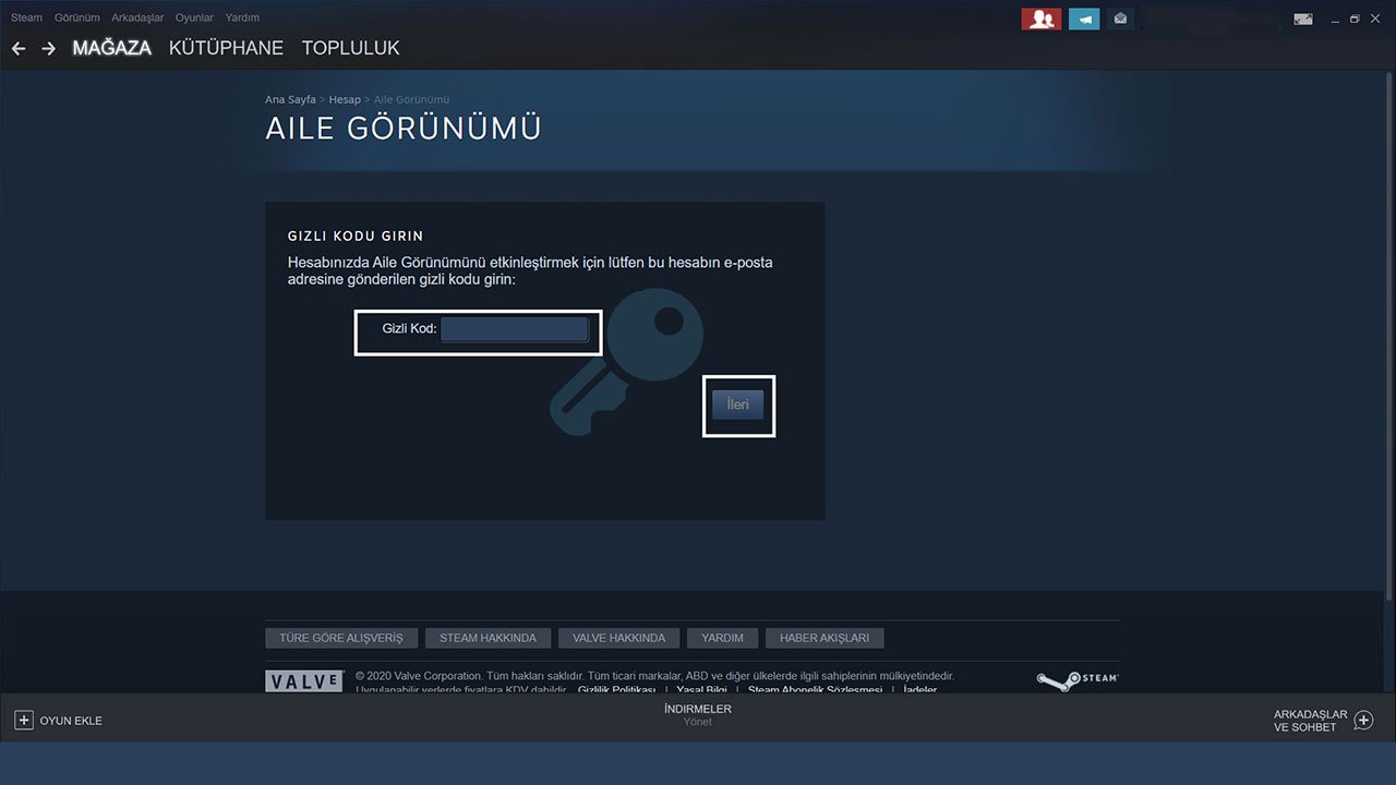 steam gizli kod