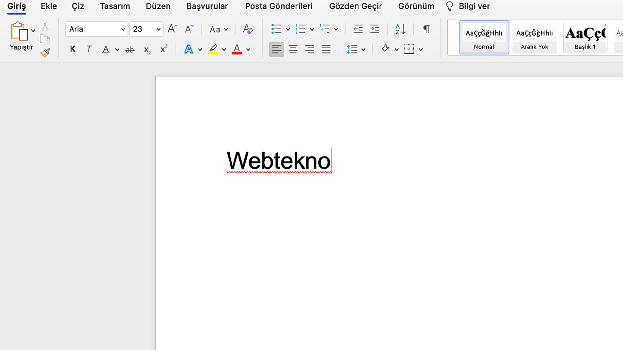 Microsoft Word
