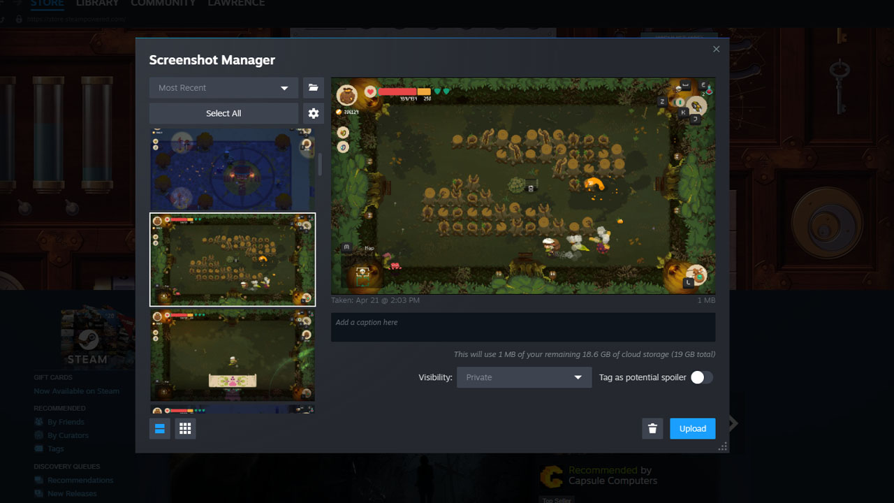 steam ekran görüntüsü