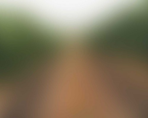 Silinen Dosyaları Ücretsiz Bir Şekilde Kurtarmanın Yolu: İBeesoft